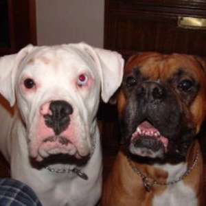 my 2 best friends