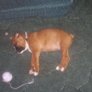 whew that ball of yarn wore me out.