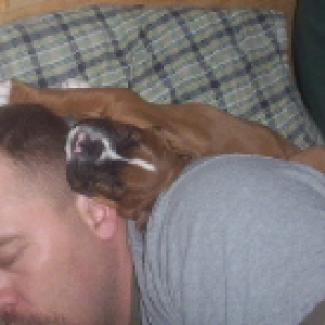 daddy is fast asleep think he'll notice  me.