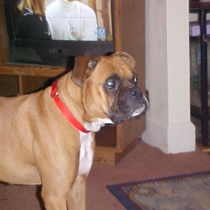 Tyson