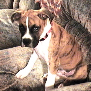 Brady at 3 months