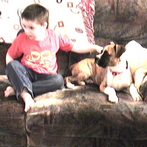 Josh and Brady watchin TV