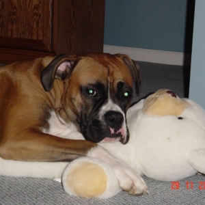 He loves his bear