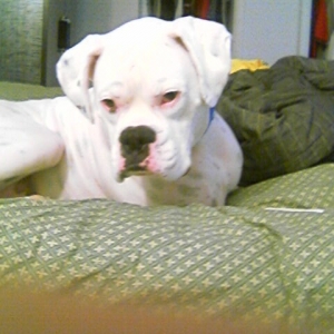 Like my new bed =)