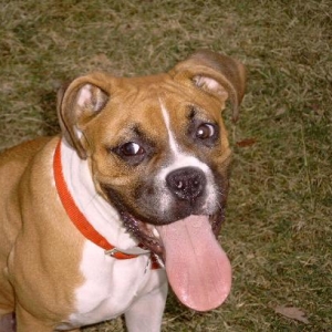 Big Tongue!