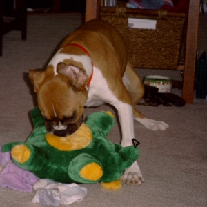 the attack