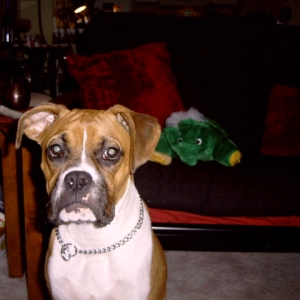 Who me? but mooooom!