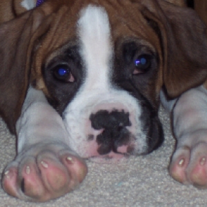 What a cute baby!