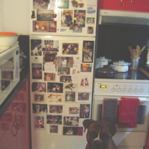 Krose in front of his Xmas cards from all the friends at BW!!