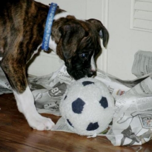 Playin a little soccer