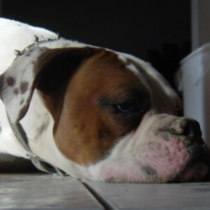 Pooped