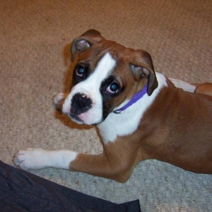 my pretty girl