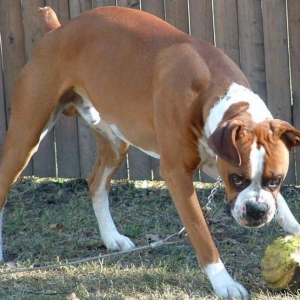 My Ball
