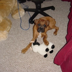 bruno_03