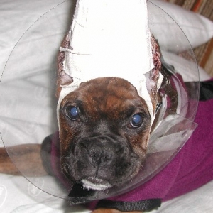 You got me into this!!