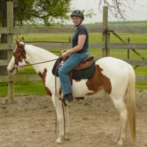 Taz Under Saddle