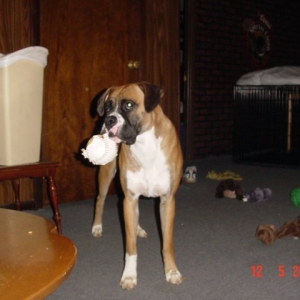 Anyone want to play ball