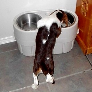scooter_drinking_03-04
