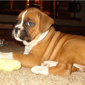 Shelby's 1st day home