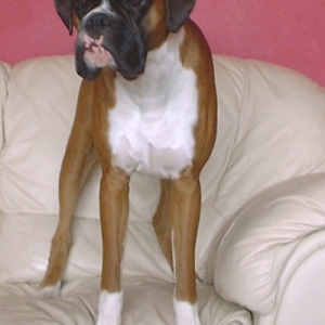 This is my sofa!!