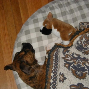 sleepy time