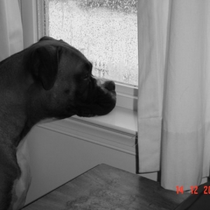 Can we please go out Right now?