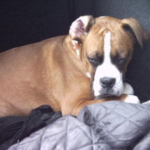 don't disturb me