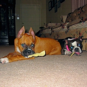 Mia & Rocky