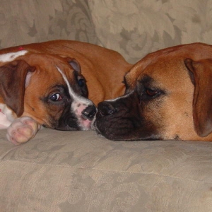 Best Friends
