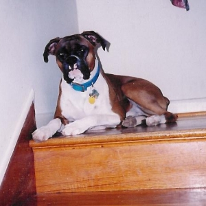 Relaxing on the steps.