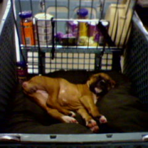 Sleeping Beauty!