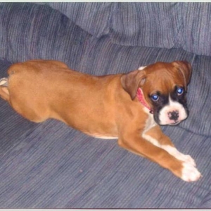 Roxie posing for Daddy