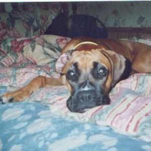Suzy Chill'in on my bed