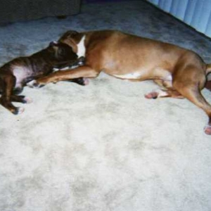 Cuddling sweet