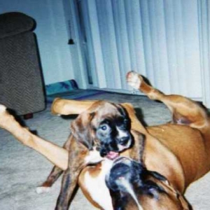 Playtime!!
