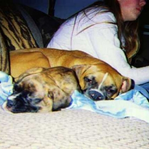 Inseparable babies