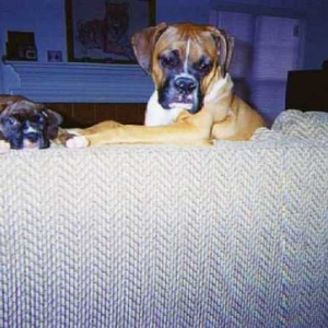 Hanging out
