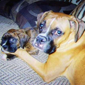 Best Friends