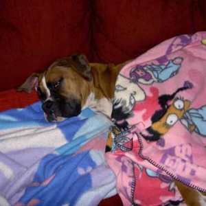 Tuckered Out