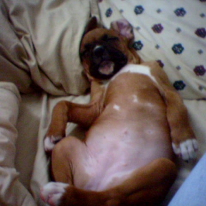 Now_Thats_the_Life