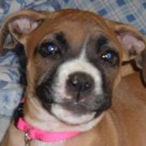 pretty smiling baby