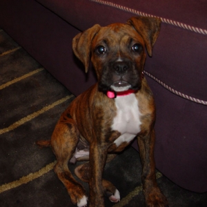 Another shot of Lily