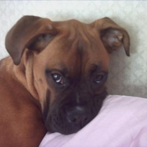 george