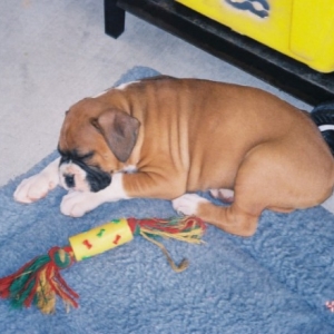 just let me sleep