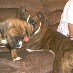 Abby_and_new_baby_boy_jpg