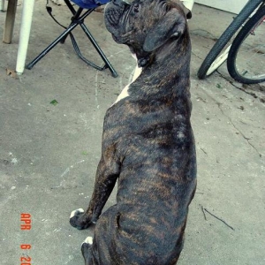 Sitting Still...
