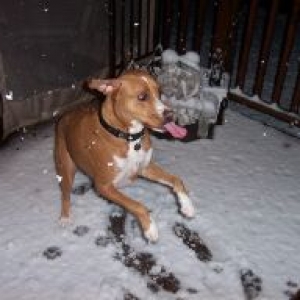 Fun In The Snow