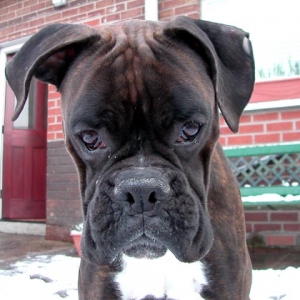 rucloseup