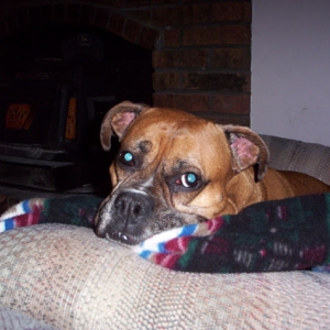 Chillin in Granpa's Chair