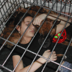 Joe napping with Mommy